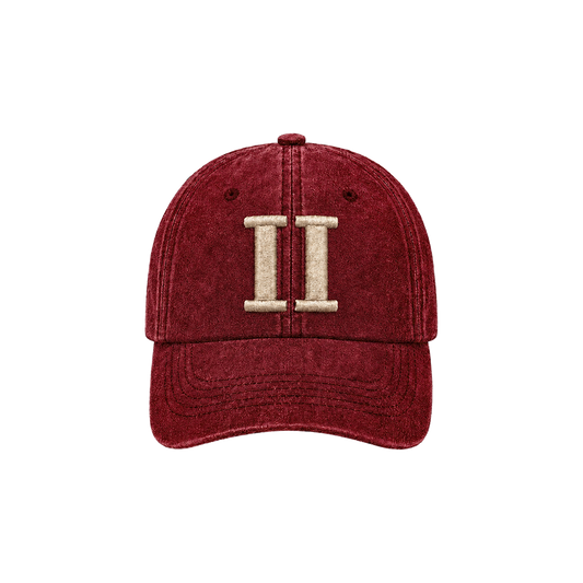 BIIM Dad Hat